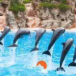#077 T2 Pata Village By Home Holidays